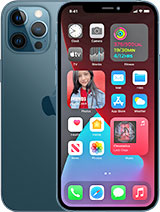 Apple iPhone 13 Pro Max at Tcs.mymobilemarket.net