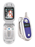 Best available price of Motorola V303 in Tcs